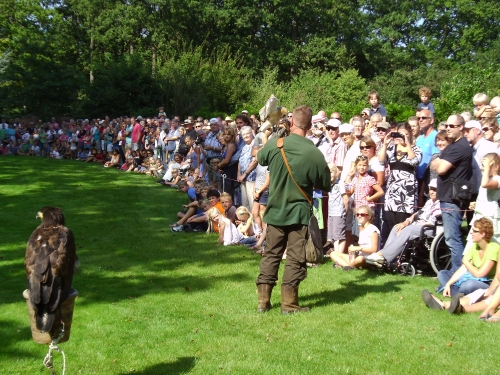 Bouman-roofvogelshow